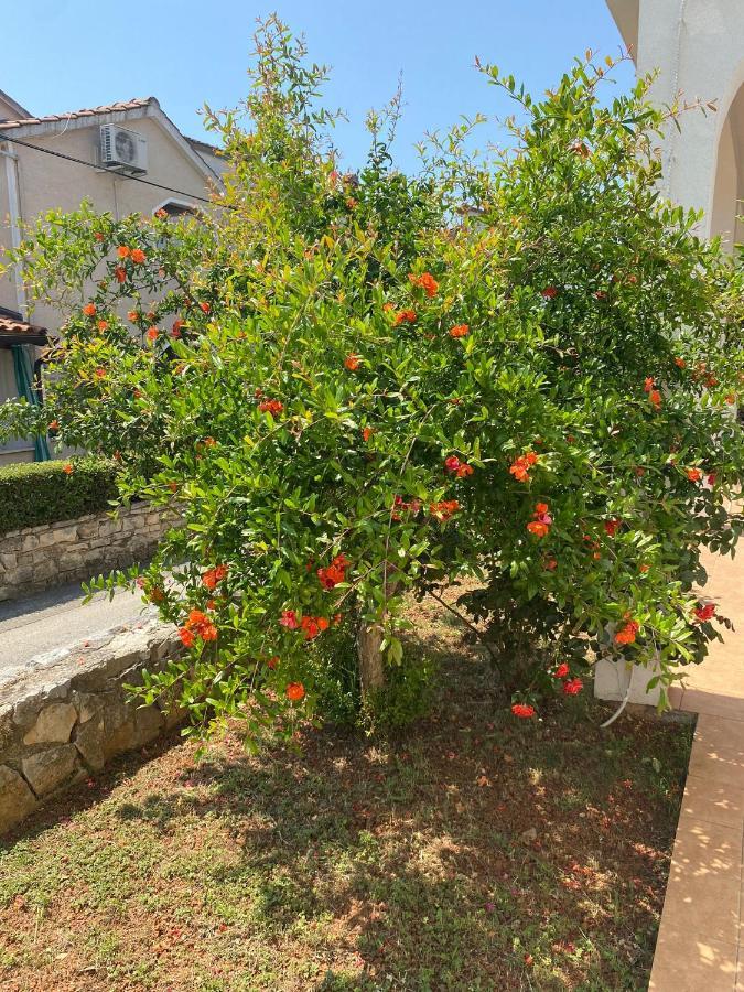 Apartmani Ana Borovac Funtana Kültér fotó